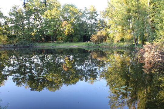Spiegelung im Wasser des Sees. Bäume am Flussufer. Am Horizont ist der Himmel blau. Der Seespiegel spiegelt die umgebende Natur wider. Grünes Gras auf der Wiese. Die Äste des Baumes sind verzweigt. 