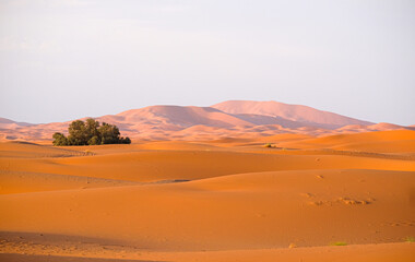 Early morning light at the desert dunes Erg Chebbi in the south of Morocco, nearby Merzouga - obrazy, fototapety, plakaty