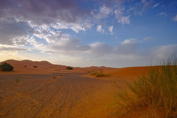 Fototapeta na wymiar Desert dunes Erg Chebbi in the south of Morocco, nearby Merzouga, in the early morning light