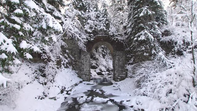 Antique railway viaduct overgrown in snowy winter forest 