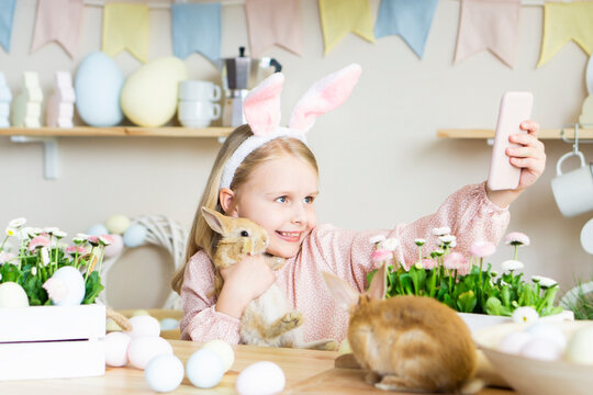 Easter little girl with rabbit ears holds a live rabbit in her hands and takes a photo on a mobile phone in the home kitchen. girl has video chat on smartphone on Easter day