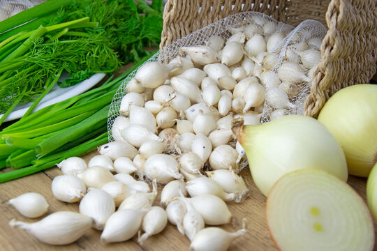 Allium cepa Snowball cebula dymka w kuchni