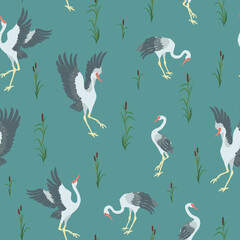 Patterns Siberian cranes