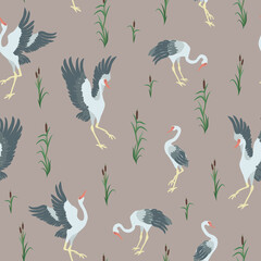 Patterns Siberian cranes