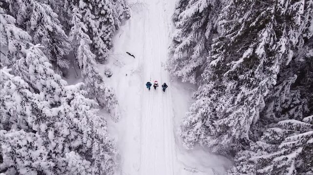 Three tourists walk on snowy path in winter mountain campaign aerial drone footage