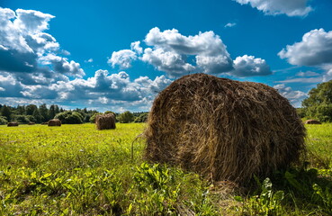 stacks of hay bales in a field on a summer day 