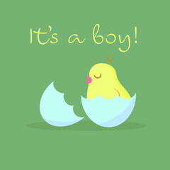 Text: It's a boy, a boy baby birth card with a cute chick hatched from an egg, a newborn boy card