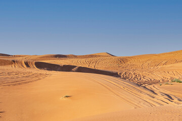 Fototapeta na wymiar Sand dunes of the Arabian desert. Abu Dhabi, United Arab Emirates