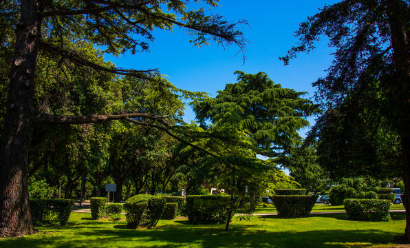 Scenic view of green shrubs and trees on a lawn in a park under a blue sky - Powered by Adobe