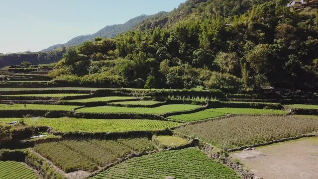 green vegetable garden paddy farms in mountainous valley village in Kabayan Benguet Philippines wide aerial side trucking right to left revealing beautiful mountain valley Kabayan Benguet Philippines