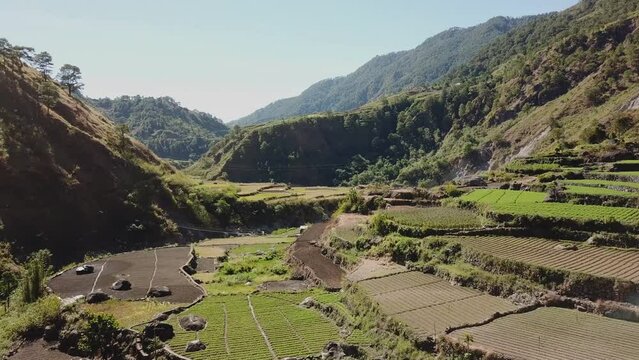 green vegetable garden paddy farms in mountainous valley village in Kabayan Benguet Philippines wide aerial panning right to left revealing river blue sky bright beautiful sunny day