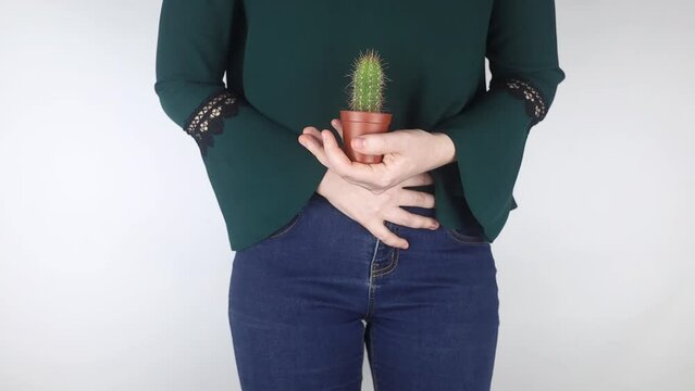 Close-up of a woman body. A cactus against the background of internal organs symbolizes female pains. Uterus, womb and ovaries. Concept photo about feminine intimate health. 