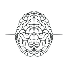 Continuous line drawing of a human brain