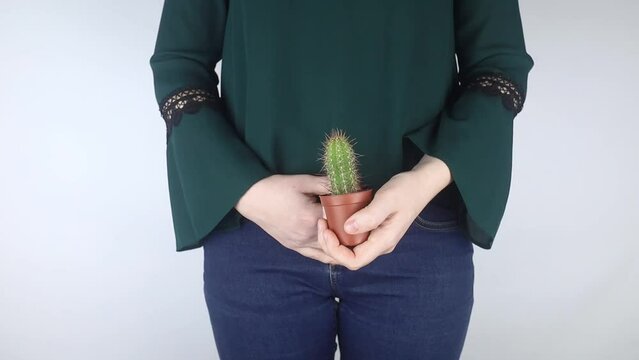 Close-up of a woman body. A cactus against the background of internal organs symbolizes female pains. Uterus, womb and ovaries. Concept photo about feminine intimate health. 
