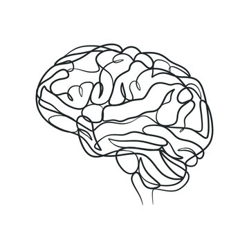 Continuous line drawing of a human brain
