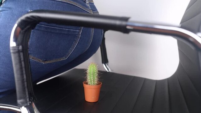 Concept. A woman holds a cactus as a symbol of rectal pain. Varicose veins of the lower intestine. Pain in the rectum, hemorrhoids and pain in the excretory system of the body. Proctology
