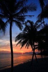 Fototapeta na wymiar Sunset at a tropical beach, palm trees