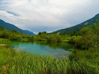 Fototapeta na wymiar Lake at Zelenci at the spring of Sava Dolinka close to Kranjska gora in Gorenjska region of Slovenia surounded by wetland reeds