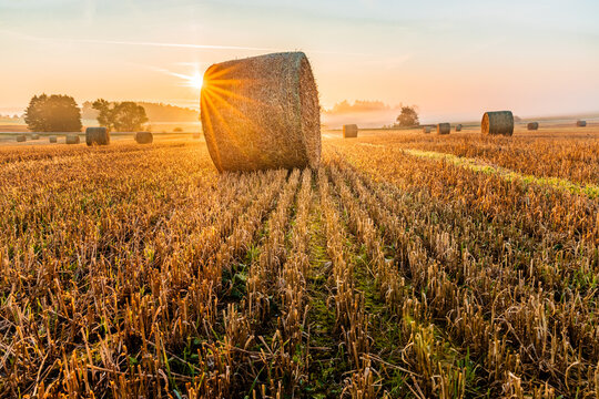 Hay bales in a field near the village of Dobronice near Bechyně in South Bohemia, which are photographed at sunrise