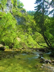 View of Iska river in Iski vintgar, Slovenia and steep grass covered slopes in the background