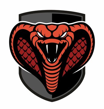 Vector cobra snake image, vector snake logo with the shield on white background.