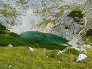Lower lake at Kriski podi in Triglav national park and Julian alps in north littoral region of Slovenia with a alpine meadow and creeping pine in front and a scree in the background