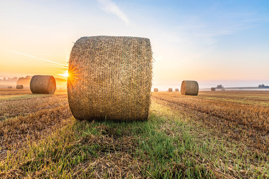 Hay bales in a field near the village of Dobronice near Bechyně in South Bohemia, which are photographed at sunrise