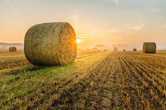 Hay bales in a field near the village of Dobronice near Bechyně in South Bohemia, which are photographed at sunrise