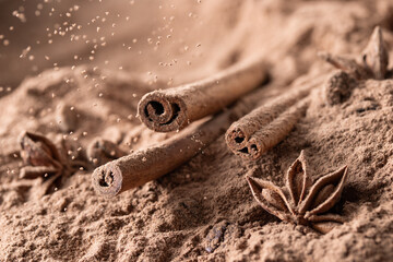 Close up of cinnamon sticks with cocoa