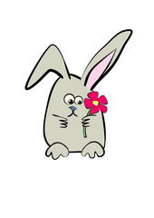 Rabbit with flower funny cartoon