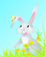 Easter spring bunny rabbit