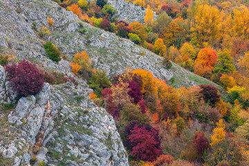 Panoramic view from the train in Abruzzo. The Trans-Siberian of Abruzzo. Trees in autumn 