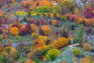 Naklejka na ściany i meble Panoramic view from the train in Abruzzo. The Trans-Siberian of Abruzzo. Trees in autumn 