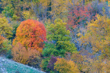 Panoramic view from the train in Abruzzo. The Trans-Siberian of Abruzzo. Trees in autumn 