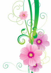 pink flowers abstract color backdrop