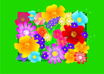 colorful spring flowers background