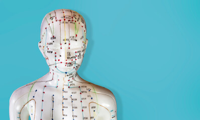 Closeup of mannequin with meridians and acupuncture points on blue background. - obrazy, fototapety, plakaty