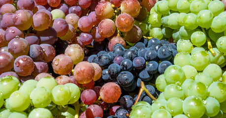 Background and closeup of bunches of colored grapes.