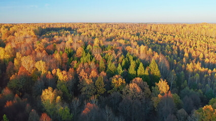 Fototapeta premium Autumn forest, Christian temple, beautiful nature shots from a drone, sunset, beauty of Russia, Buryatino village, aerial view