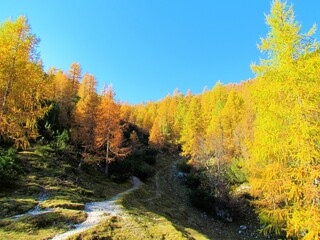 Beautiful landscape above Lipanca and Pokljuka in Julian alps and Triglav national park in Slovenia...