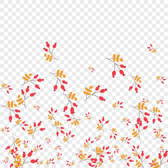 Yellow Foliage Background Transparent Vector. Leaf Plant Texture. Burgundy Leaves Decorative. Object Illustration. Herb September.