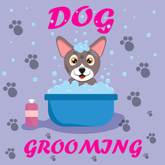 Dog grooming