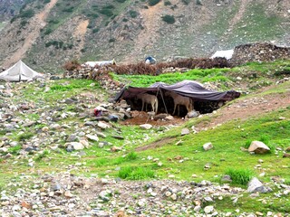 beautiful rider white horse couple at tourist point 