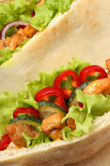 Concept of tasty food with pitas with chicken meat