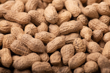 Background pictures of many peanuts