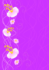 Flowers border on magenta background