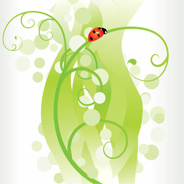 ladybird on green abstract background