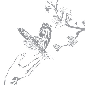hand drawn butterfly and flowers spring illustration