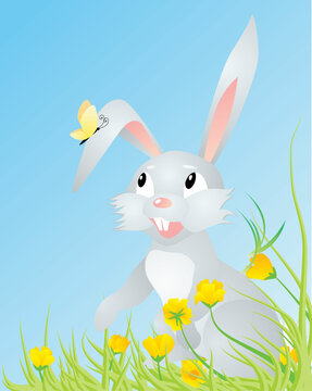 spring hare with butterfly