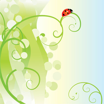 ladybird green curves
